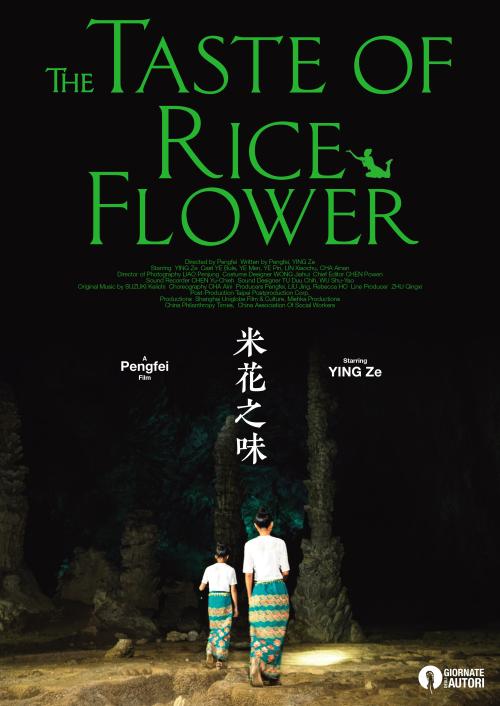 比利时怎么买假的
